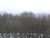 1193.jpg